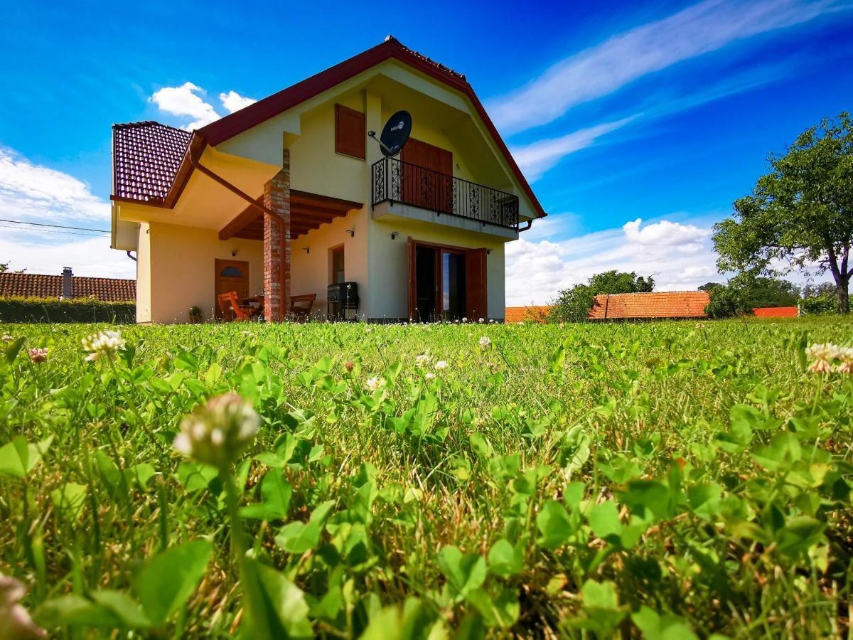 Lindika Villa Lendava Dış mekan fotoğraf